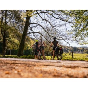  Réseau Points-Noeuds: fietsknooppuntenkaart Provincie Luxemburg carte Sud - NGI