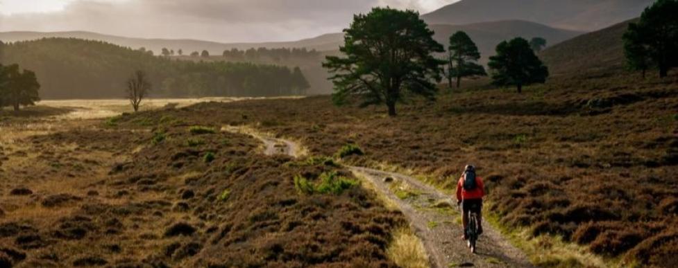 Bikepack-tochten zonder gedoe
